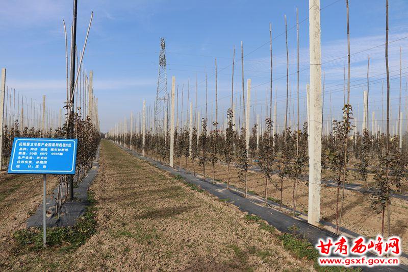 庆阳居立现代化苹果产业高标准示范园项目.jpg