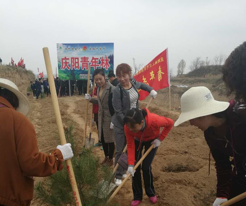 QQ图片20180330110231_副本.jpg