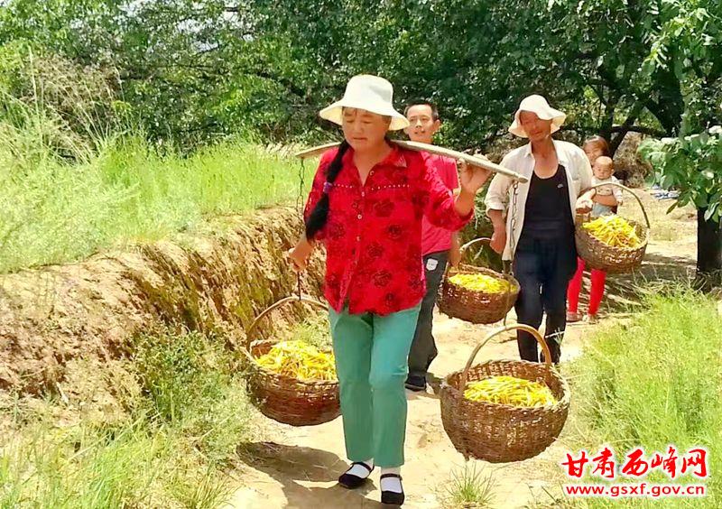 微信图片_20180711212223_副本.jpg
