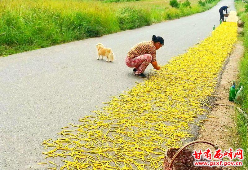 微信图片_20180711212236_副本.jpg