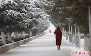 新年新气象　瑞雪兆丰年