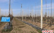 围绕“四大布局”组团发展壮大农业产业　助推精准扶贫