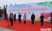 我区举行“红十字博爱送万家”活动暨淘宝公益救助金发放仪式