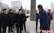 张晓龙督查西峰城区“迎新春”灯景装点、氛围营造工作