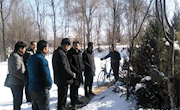 肖金镇：顶风冒雪再奋战　项目建设再突破
