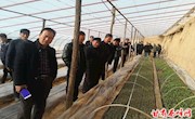 显胜乡春季农业农村工作全面启动