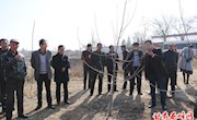 外出“取经”拓视野　借鉴“良方”促脱贫