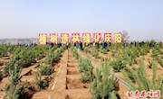 市区机关干部职工集中开展义务植树活动