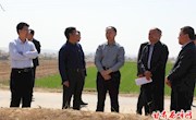章志兼深入彭原镇调研农业重点项目建设情况