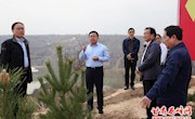 国家林业局调研我区退耕还林工作