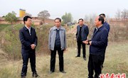 王驰督查我区河长制落实情况