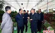 宁夏吴忠市利通区考察团考察我区乡村旅游及苹果产业