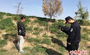 温泉镇开展禁种铲毒行动