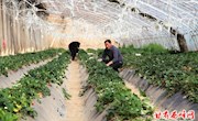 大力发展乡村旅游　助推乡村振兴