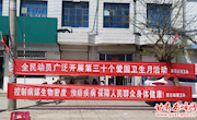 董志镇开展爱国卫生月暨病媒生物防治宣传活动