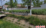 显胜乡：点面结合　全力打造肖显公路美丽乡村示范带