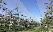 西峰区创新“六种”模式　提升“三变”改革实效