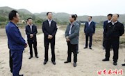 朱涛调研西峰区瓜菜产业开发工作