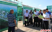 市政协调研我区重大项目进展情况