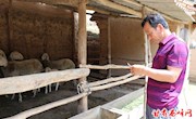 西峰：网络全覆盖助力乡村振兴