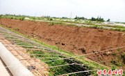 肖金万亩设施蔬菜基地建设驶入“快车道”