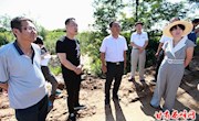 马耀文调研银西铁路西峰段项目用地征迁工作