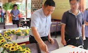 【创建全国文明城市】我区严格督查餐饮行业创城氛围营造、“文明餐桌”行动、门前“三包六禁”工作