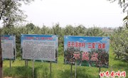 “三变”改革打通扶贫新路　试点工作激活发展新动能