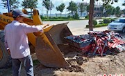 聚力打造城市形象　创建美丽宜居新城