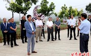 区政协调研我区支柱产业发展情况