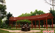 实施乡村振兴战略　加快美丽乡村建设