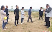 区联合督查组督查后官寨镇殡葬领域突出问题专项整治工作