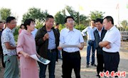 王驰调研全区农业产业重点项目建设情况