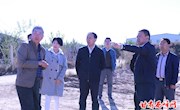 章志兼调研督查肖金蔬菜基地提质改造项目