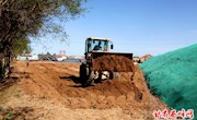 万亩设施蔬菜基地持续发力　打造农业现代产业链